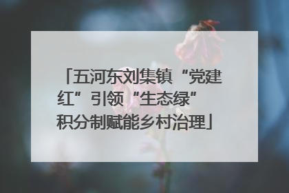 五河东刘集镇“党建红”引领“生态绿” 积分制赋能乡村治理