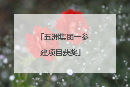 五洲集团一参建项目获奖
