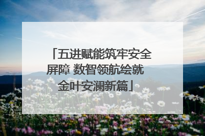 五进赋能筑牢安全屏障 数智领航绘就金叶安澜新篇