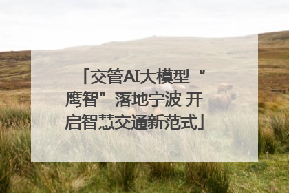 交管AI大模型“鹰智”落地宁波 开启智慧交通新范式
