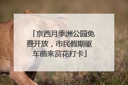 京西月季洲公园免费开放，市民假期驱车前来赏花打卡