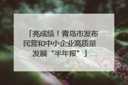 亮成绩！青岛市发布民营和中小企业高质量发展“半年报”