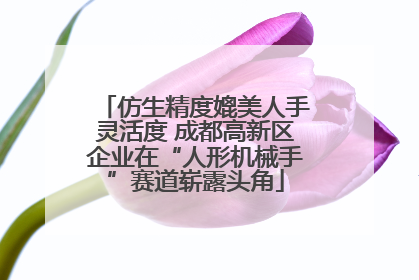 仿生精度媲美人手灵活度 成都高新区企业在“人形机械手”赛道崭露头角