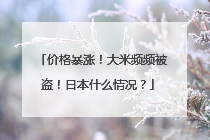 价格暴涨！大米频频被盗！日本什么情况？