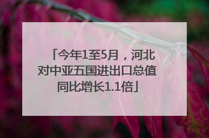 今年1至5月，河北对中亚五国进出口总值同比增长1.1倍