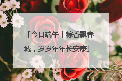 今日端午丨粽香飘春城，岁岁年年长安康
