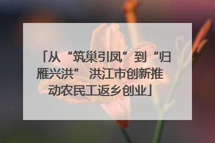 从“筑巢引凤”到“归雁兴洪” 洪江市创新推动农民工返乡创业
