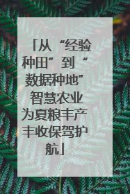 从“经验种田”到“数据种地” 智慧农业为夏粮丰产丰收保驾护航