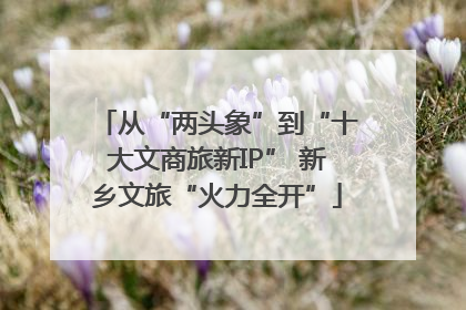 从“两头象”到“十大文商旅新IP” 新乡文旅“火力全开”