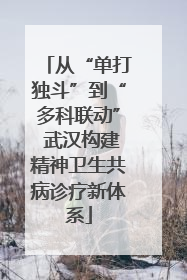 从“单打独斗”到“多科联动” 武汉构建精神卫生共病诊疗新体系