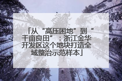 从“高压困地”到“千亩良田”：浙江金华开发区这个地块打造全域整治示范样本