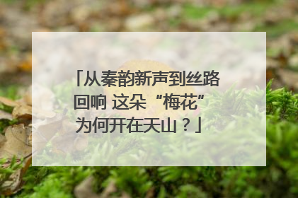 从秦韵新声到丝路回响 这朵“梅花”为何开在天山？