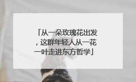 从一朵玫瑰花出发，这群年轻人从一花一叶走进东方哲学