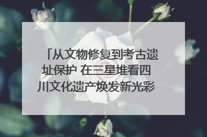 从文物修复到考古遗址保护 在三星堆看四川文化遗产焕发新光彩｜您牵挂的四川