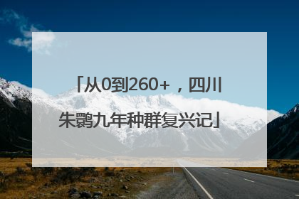 从0到260+，四川朱鹮九年种群复兴记
