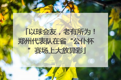 以球会友，老有所为！郑州代表队在省“公仆杯”赛场上大放异彩