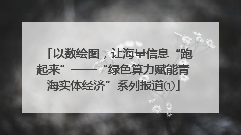 以数绘图，让海量信息“跑起来”——“绿色算力赋能青海实体经济”系列报道①