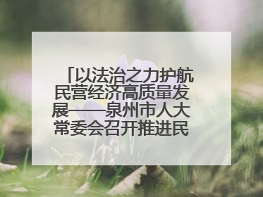 以法治之力护航民营经济高质量发展——泉州市人大常委会召开推进民营经济促进法贯彻实施座谈会