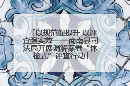 以规范促提升 以评查强实效——商南县司法局开展调解案卷“体检式”评查行动