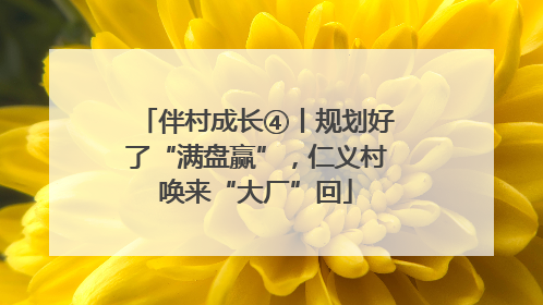 伴村成长④丨规划好了“满盘赢”，仁义村唤来“大厂”回