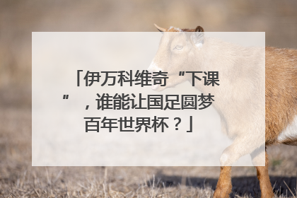 伊万科维奇“下课”，谁能让国足圆梦百年世界杯？