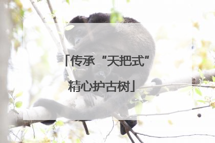 传承“天把式” 精心护古树