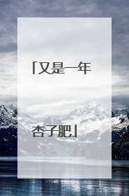 又是一年杏子肥
