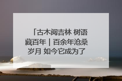 古木阅吉林 树语藏百年｜百余年沧桑岁月 如今它成为了“镇园之宝”