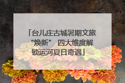 台儿庄古城暑期文旅“焕新” 四大维度解锁运河夏日奇遇