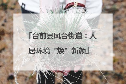 台前县凤台街道：人居环境“焕”新颜