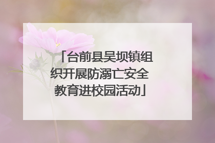 台前县吴坝镇组织开展防溺亡安全教育进校园活动