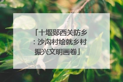 十堰郧西关防乡：沙沟村绘就乡村振兴文明画卷