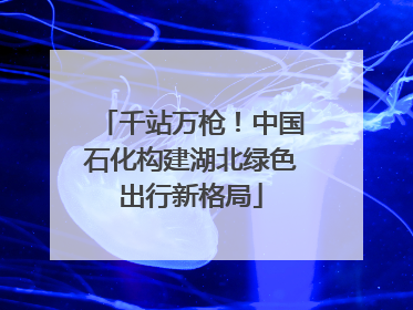 千站万枪！中国石化构建湖北绿色出行新格局