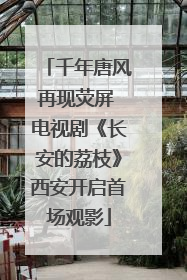千年唐风再现荧屏 电视剧《长安的荔枝》西安开启首场观影