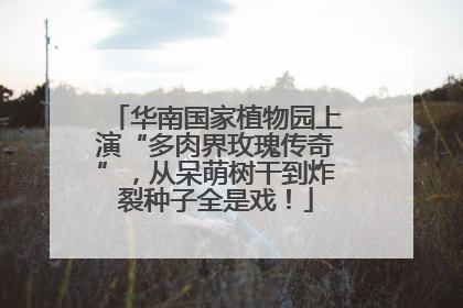 华南国家植物园上演“多肉界玫瑰传奇”，从呆萌树干到炸裂种子全是戏！