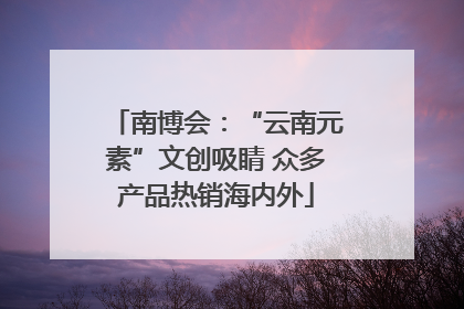 南博会：“云南元素”文创吸睛 众多产品热销海内外