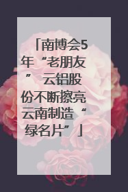 南博会5年“老朋友” 云铝股份不断擦亮云南制造“绿名片”