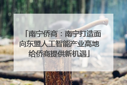 南宁侨商：南宁打造面向东盟人工智能产业高地给侨商提供新机遇