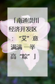 南通崇川经济开发区：“艾”意满满 一举高“粽”
