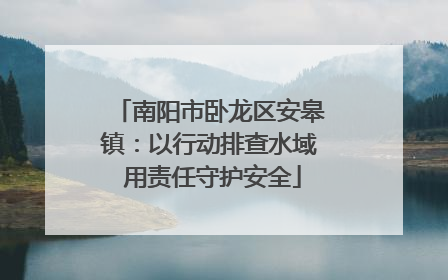 南阳市卧龙区安皋镇：以行动排查水域 用责任守护安全