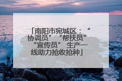 南阳市宛城区：“协调员”“帮扶员”“宣传员” 生产一线助力抢收抢种