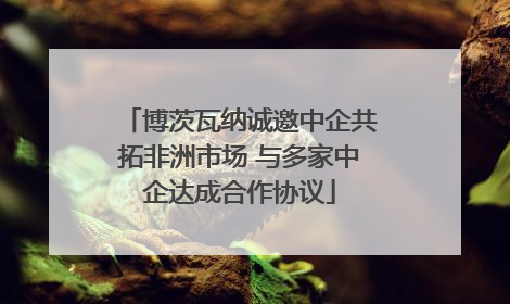 博茨瓦纳诚邀中企共拓非洲市场 与多家中企达成合作协议