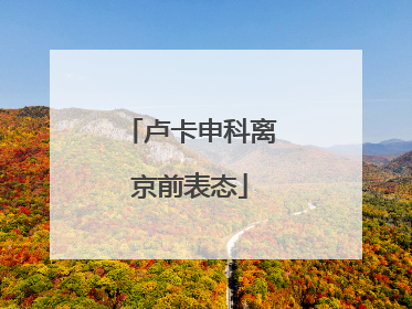 卢卡申科离京前表态