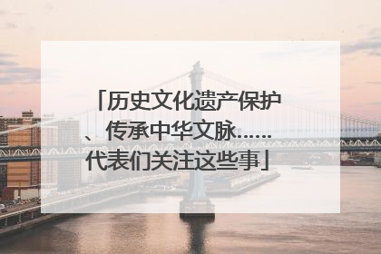 历史文化遗产保护、传承中华文脉……代表们关注这些事