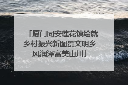 厦门同安莲花镇绘就乡村振兴新图景文明乡风润泽富美山川