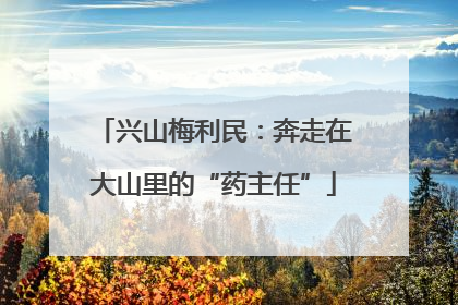 兴山梅利民：奔走在大山里的“药主任”