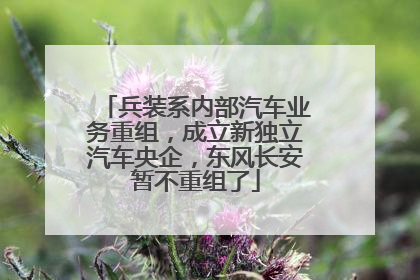 兵装系内部汽车业务重组，成立新独立汽车央企，东风长安暂不重组了