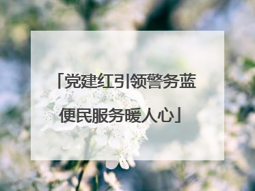 党建红引领警务蓝 便民服务暖人心