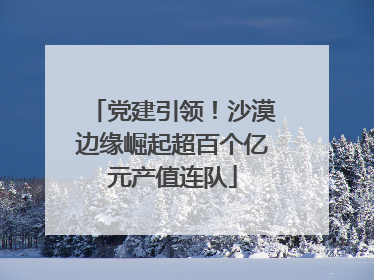 党建引领！沙漠边缘崛起超百个亿元产值连队