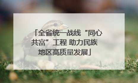 全省统一战线“同心共富”工程 助力民族地区高质量发展